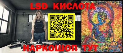 эйфоретик Кингисепп